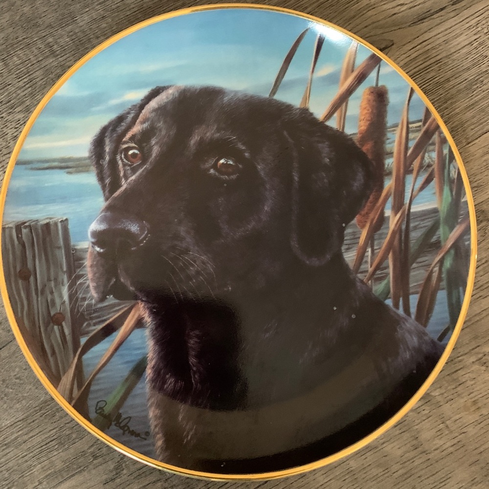 6. Collectible Plates~~~Make an offer!!!!~~~👍🏻